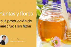 Las mejores flores para producir miel de calidad: guía para apicultores