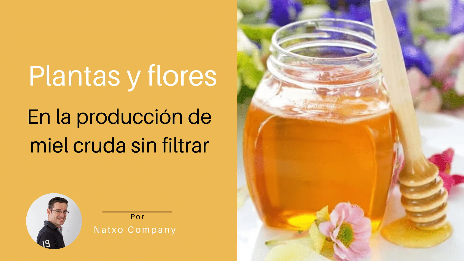las mejores flores para producir miel de calidad guia para apicultores